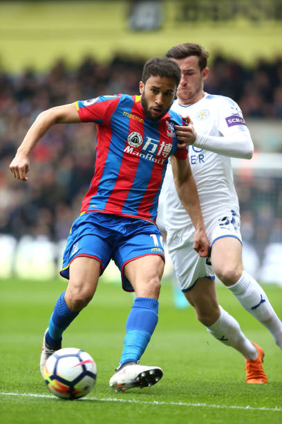 的世界里 的世界里